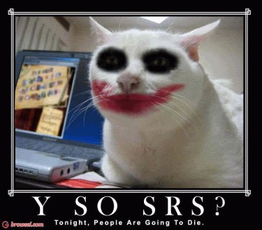 why-so-serious-cat.gif