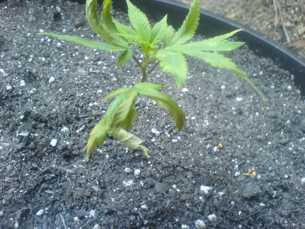 301 Moved Permanently