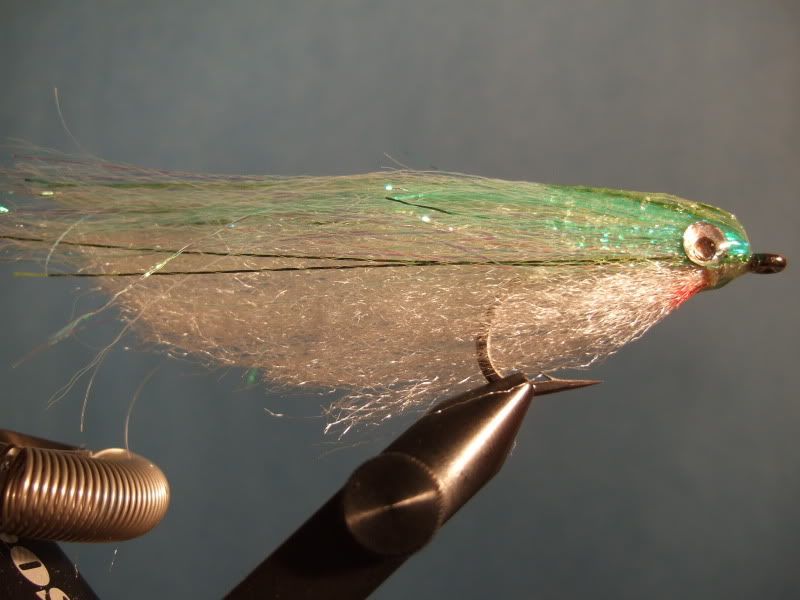 Striper Flies Fly Tying Maine Fly Fish