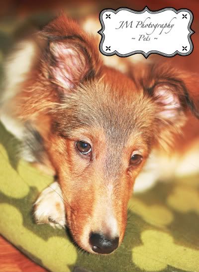 IMAGE: http://i213.photobucket.com/albums/cc128/JamieMc83/IMG_2054copyedit.jpg