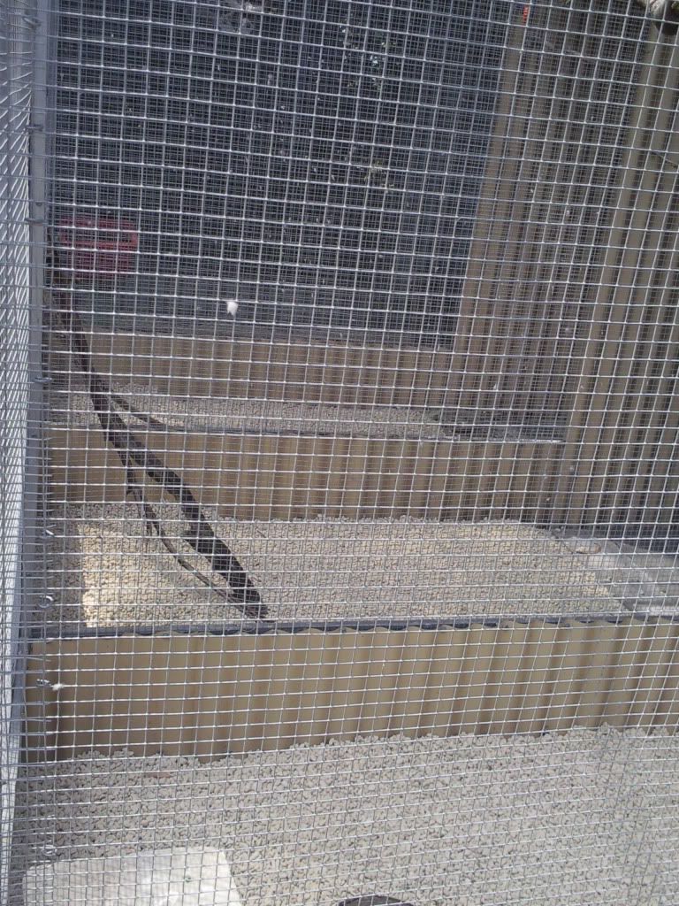 New Aviary floors. Aussie Birds Friendly Forum