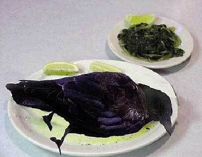 eat-crow.jpg?t=1205091531