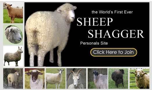 sheep_shagger.jpg