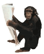 reading-monkey-gif-animation.gif