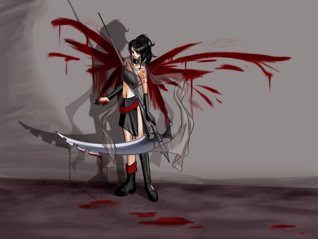 gothita gothita