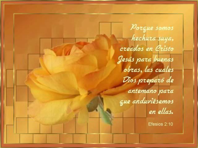 efesios_2_10.jpg picture by Nina40_2007