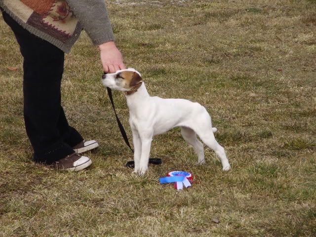 southwestgamefair040.jpg