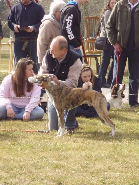 southwestgamefair051.jpg