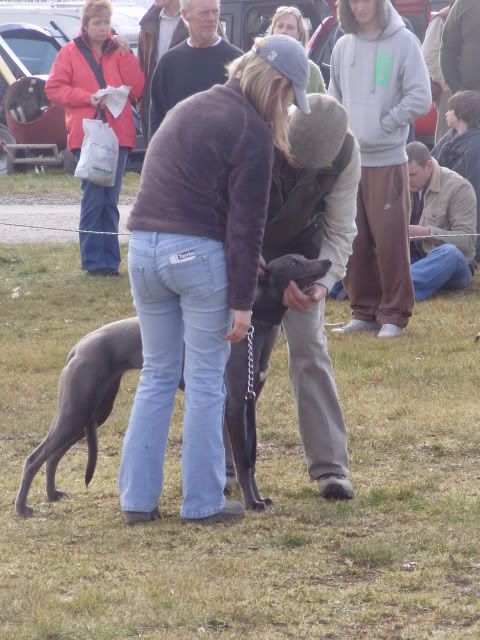 southwestgamefair060.jpg