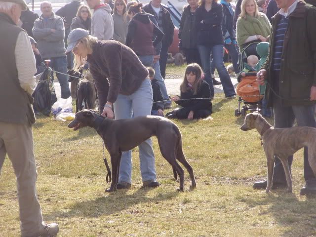 southwestgamefair076.jpg