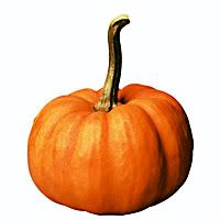 Pumpkin Pictures, Images and Photos