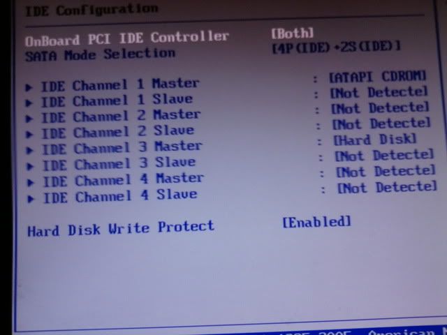 [Image: Photo0006.jpg]