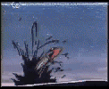 gif gif
