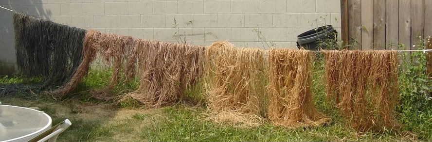 dying raffia grass