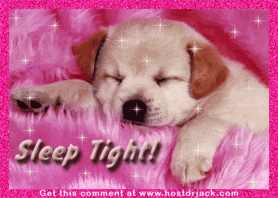 3064.gif puppy 1 image by sweet_babyblue