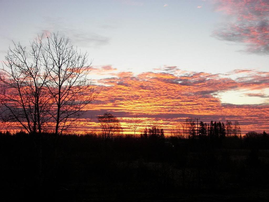 sunrise21.jpg
