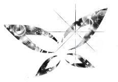 fdjgdtfgh.jpg picture by AndreaBp86