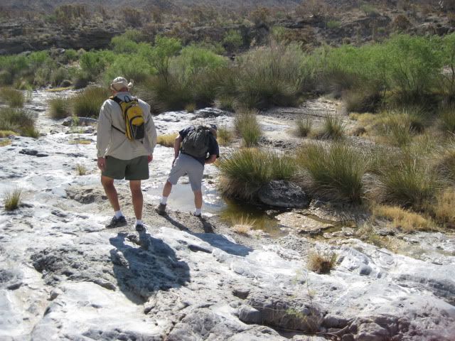 http://i213.photobucket.com/albums/cc212/DavidKier/EL%20VOLCAN%202011/Volcan2011038.jpg