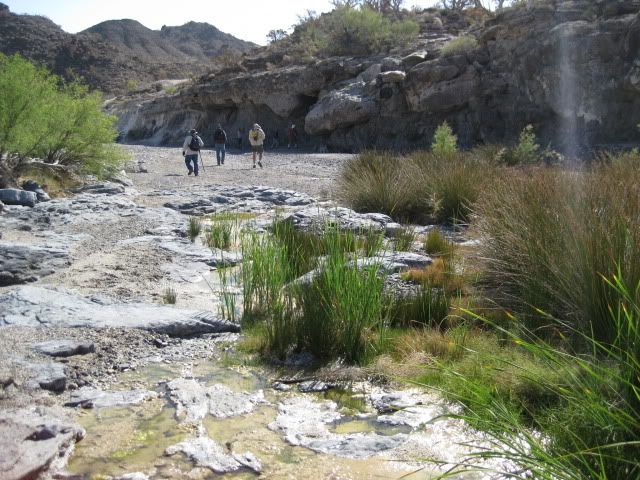 http://i213.photobucket.com/albums/cc212/DavidKier/EL%20VOLCAN%202011/Volcan2011039.jpg