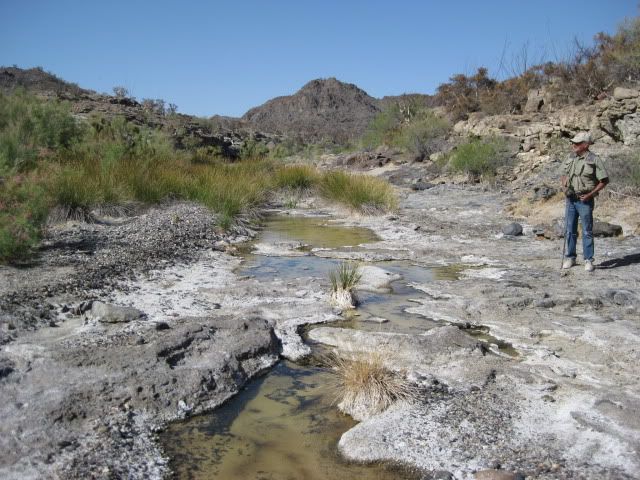 http://i213.photobucket.com/albums/cc212/DavidKier/EL%20VOLCAN%202011/Volcan2011042.jpg