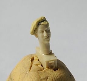 Head-3.jpg