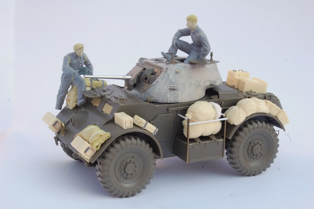 PB-Stag1.jpg