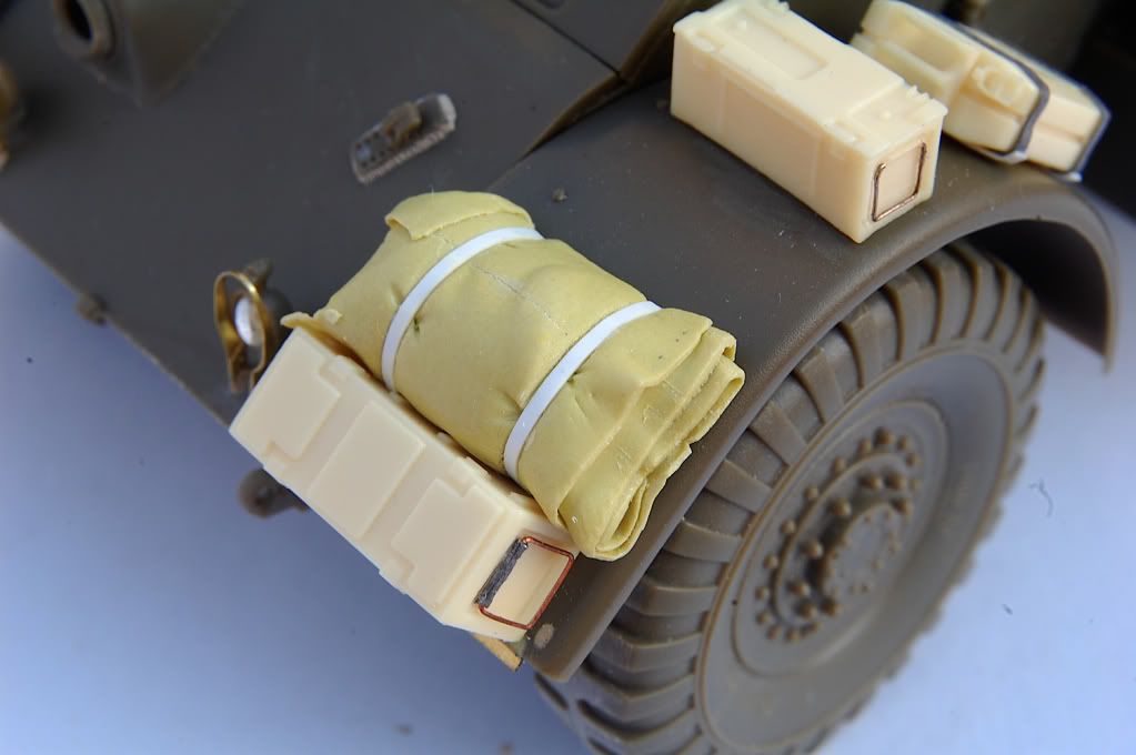 PB-Stag5.jpg