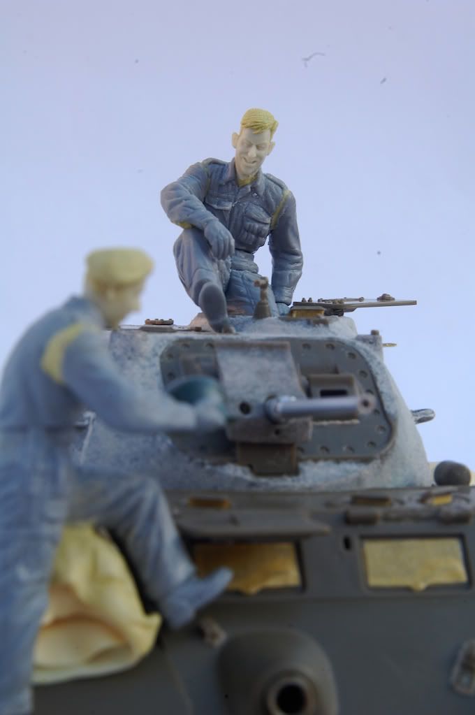 PB-Stag6.jpg