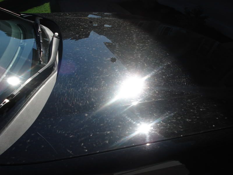 AcuraMDX057.jpg