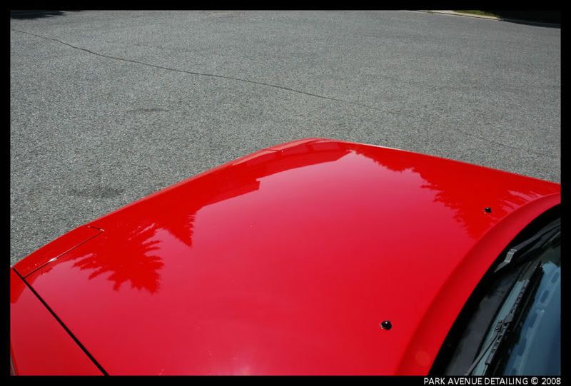 Celica007.jpg
