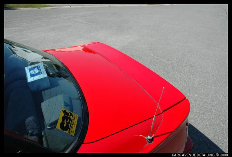 Celica008.jpg