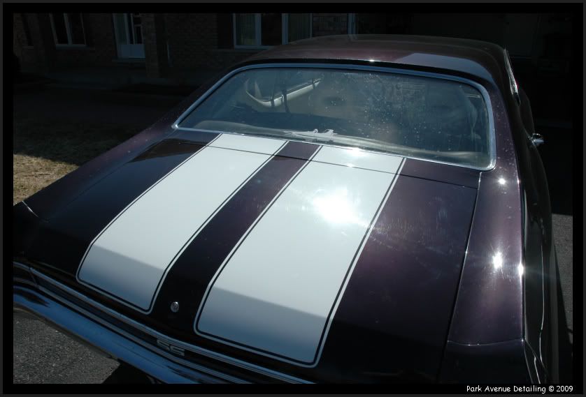 chevelle006.jpg