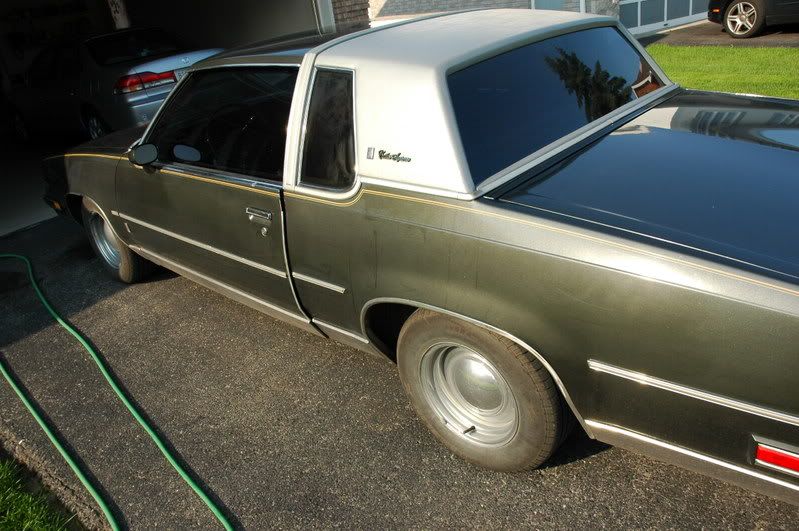 Cutlass006.jpg