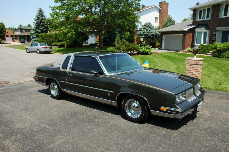 Cutlass010.jpg