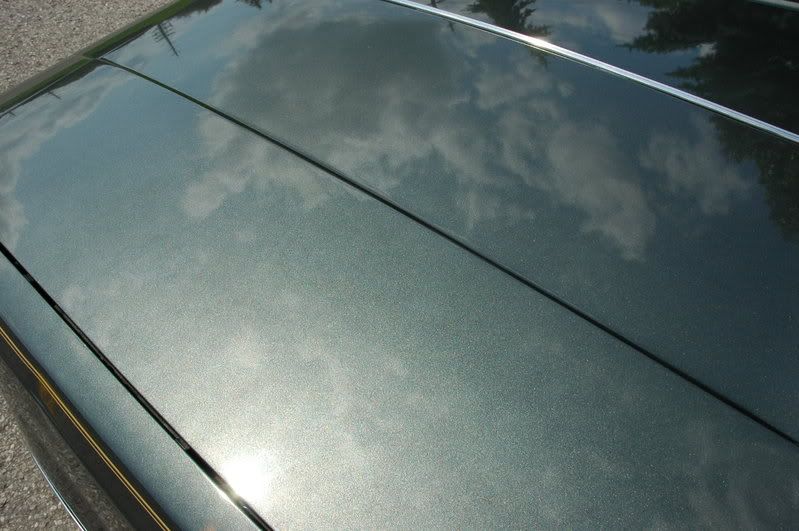 Cutlass032.jpg