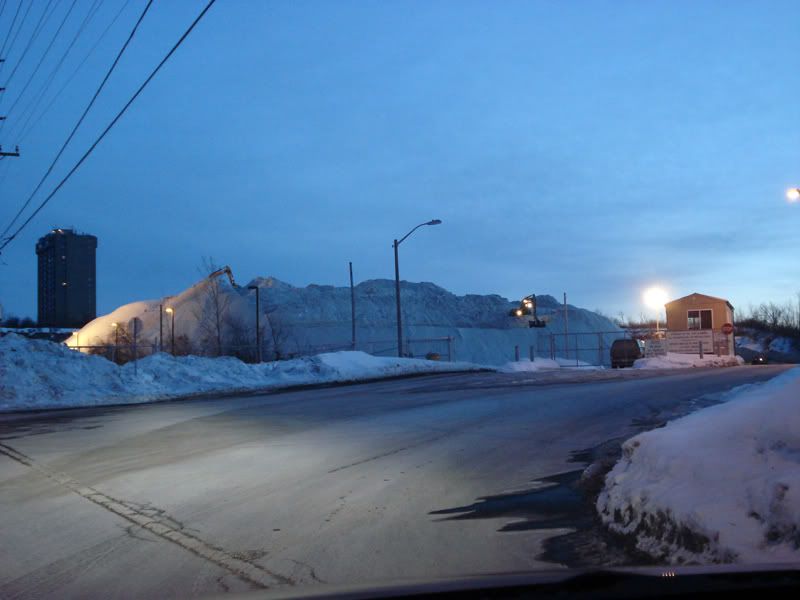 DSC01668.jpg