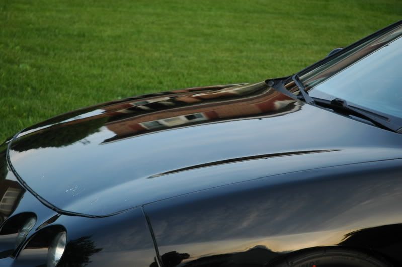 Details089.jpg