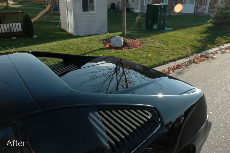 Fiero16.jpg