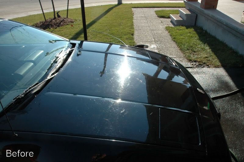 Fiero2.jpg