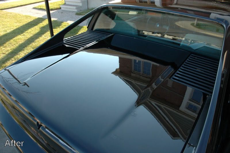 Fiero23.jpg