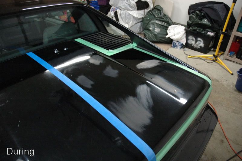 Fiero9.jpg