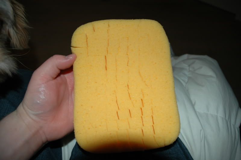 GroutSponge003.jpg