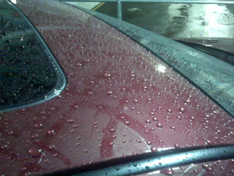 IMG00156.jpg