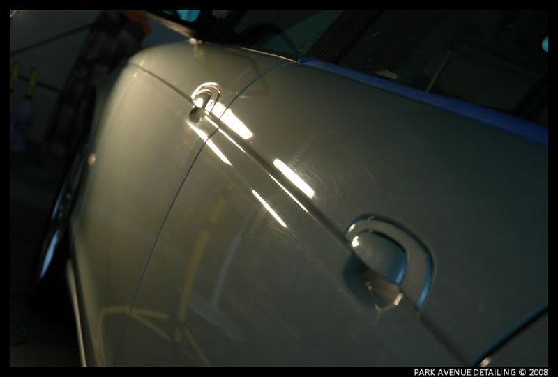 Jaguar13.jpg