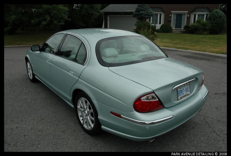 Jaguar16.jpg