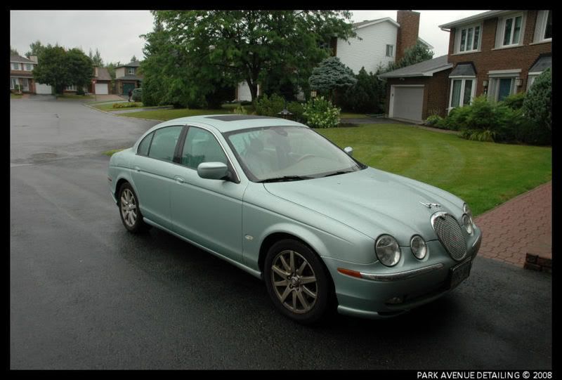 Jaguar3.jpg