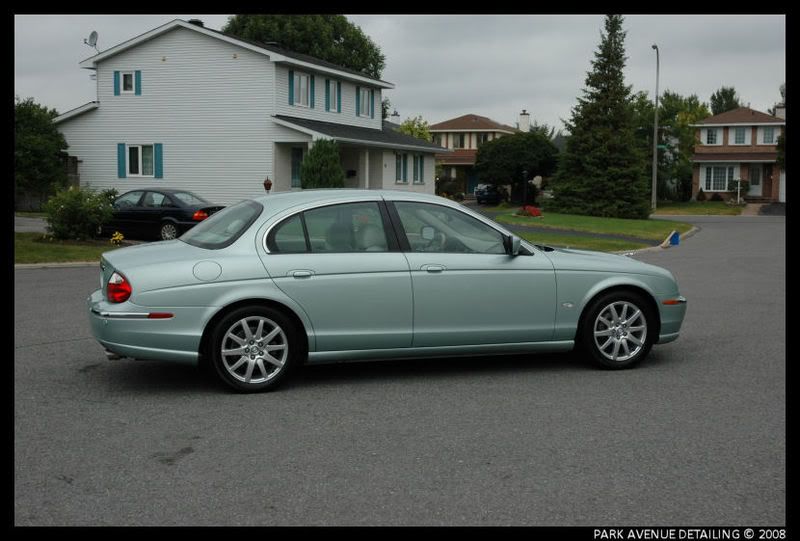 Jaguar30.jpg