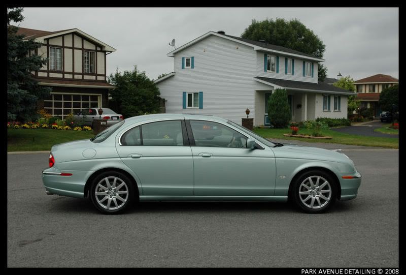 Jaguar31.jpg