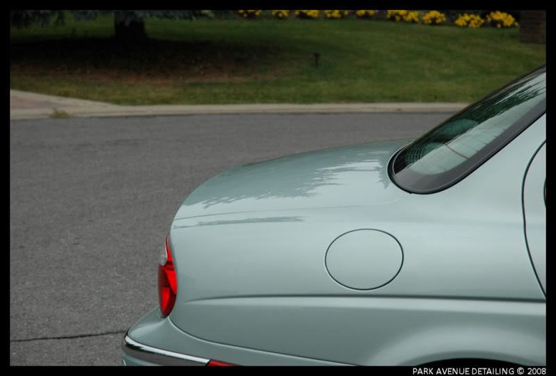 Jaguar32.jpg