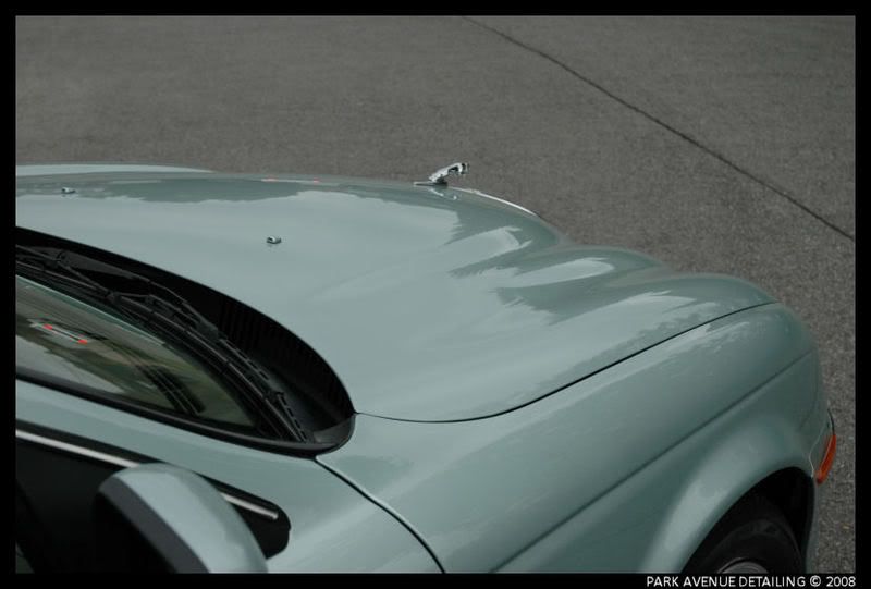 Jaguar34.jpg